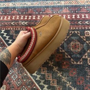 Slightly used tazz uggs